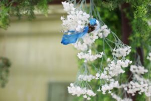 IMG_0749