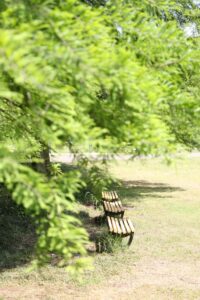 IMG_9333