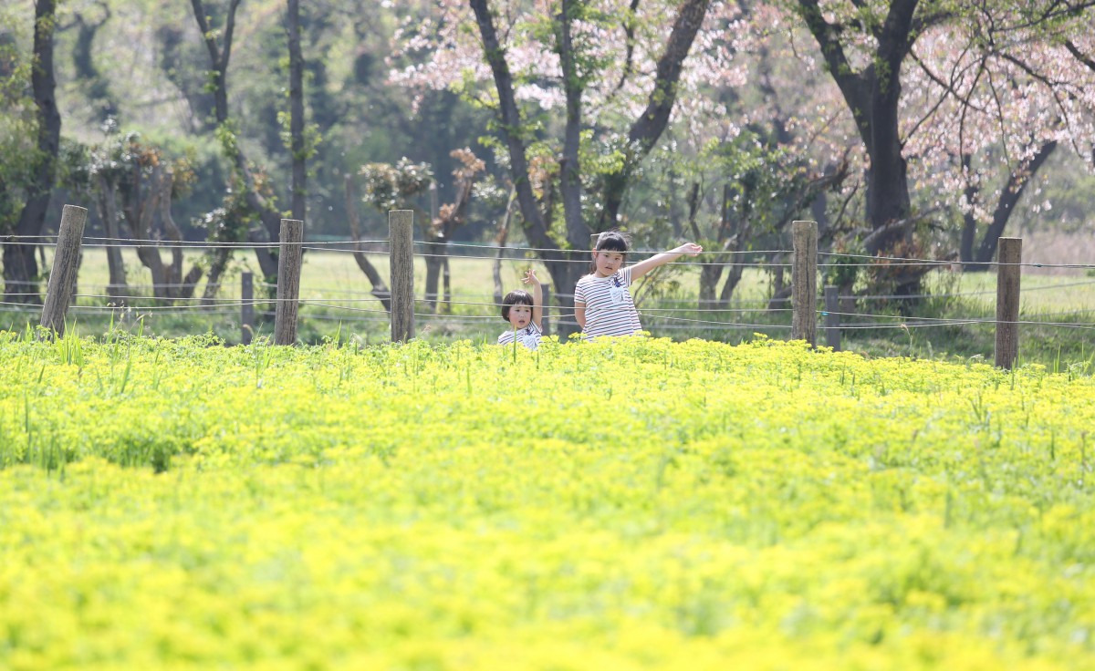 ☆春の公園フォト?☆