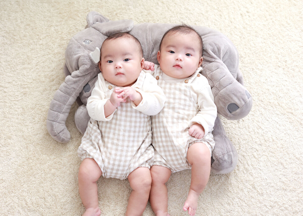 双子ちゃんプラン キャンペーン キッズフォトスタジオ ことり 双子ちゃんプラン キャンペーン キッズフォトスタジオ ことり