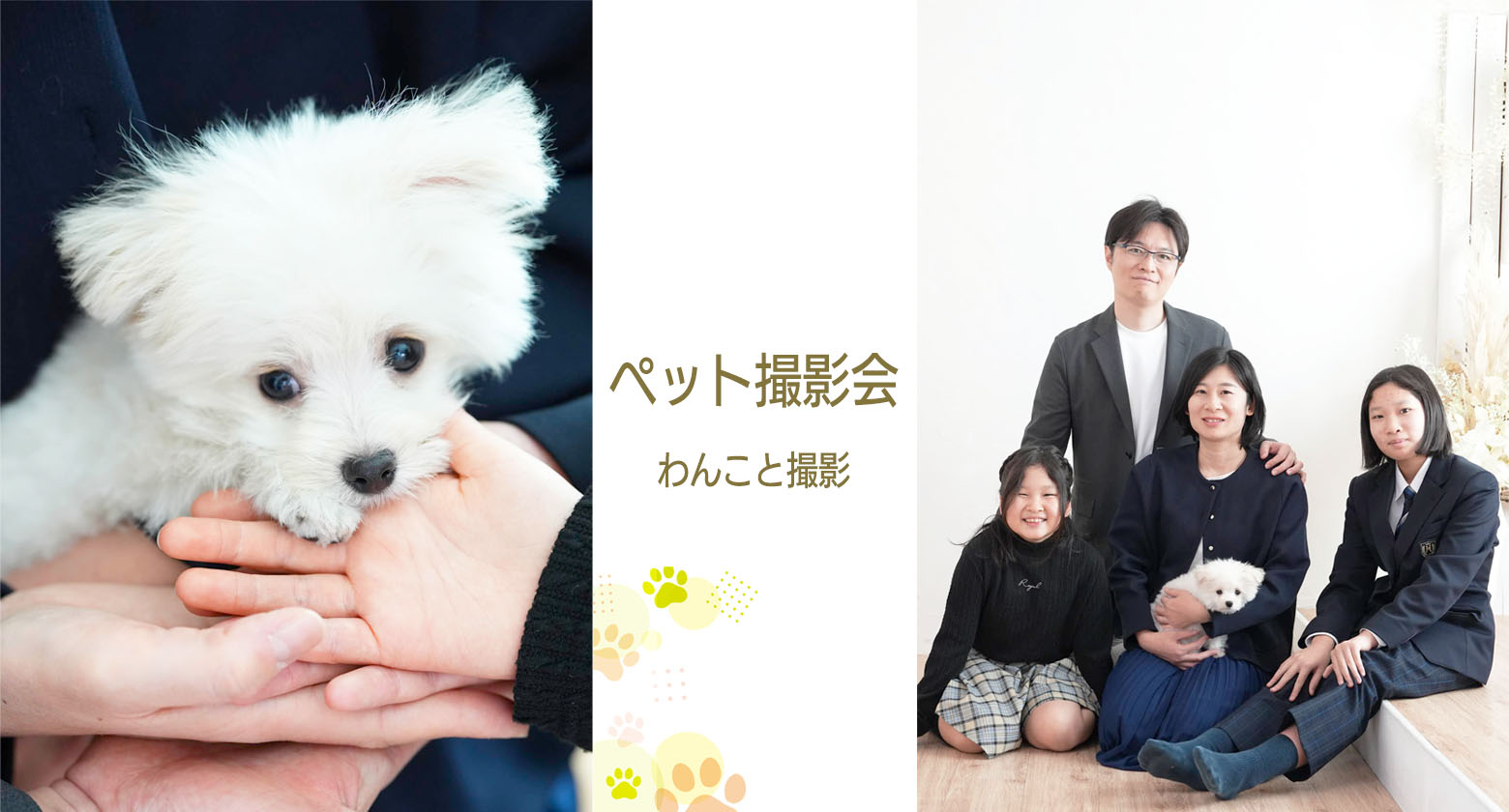 6月14日(土) withペット!家族撮影会　満席になりました！