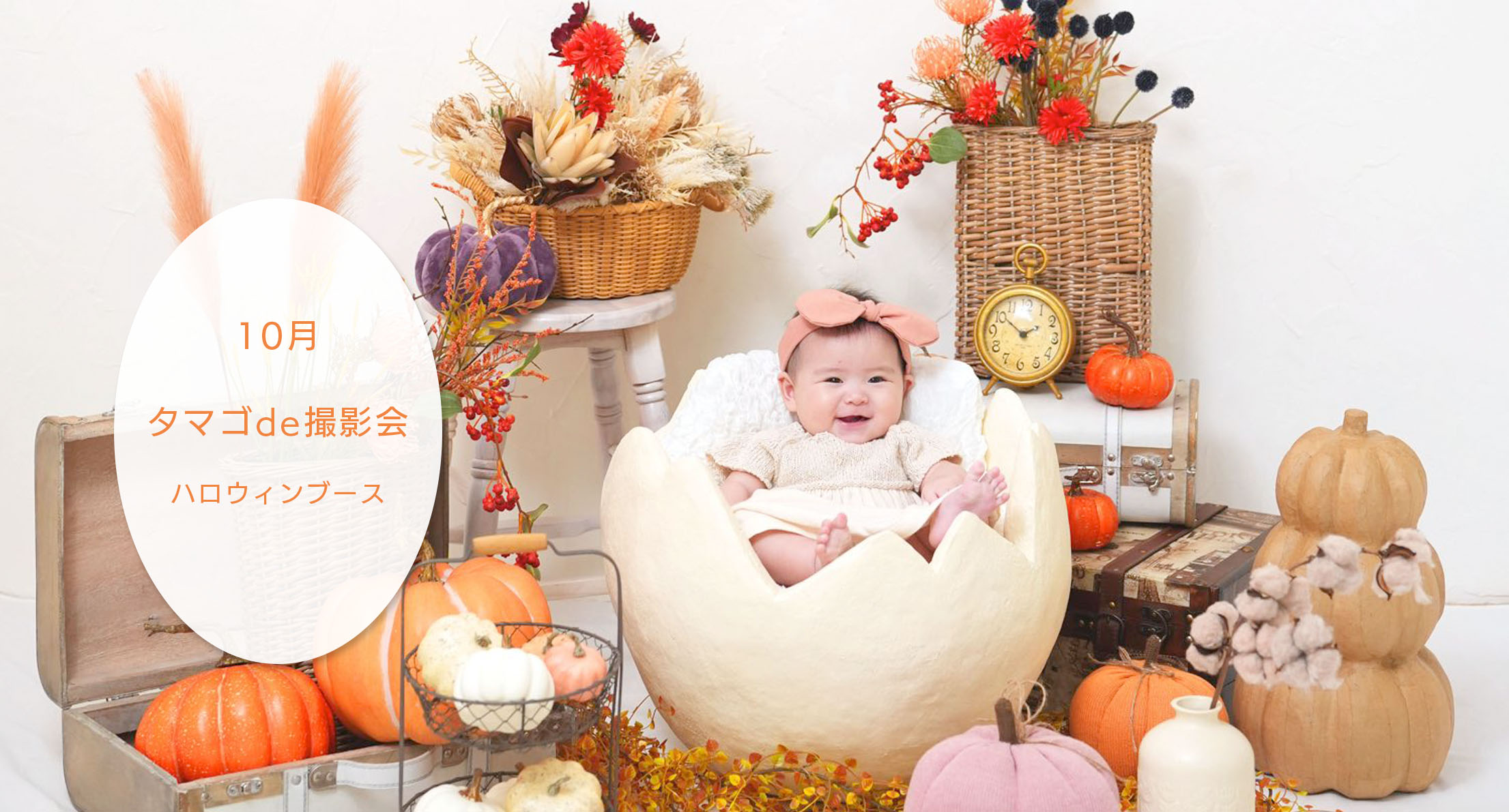 【赤ちゃん撮影会】　タマゴde撮影会 10月ハロウィン