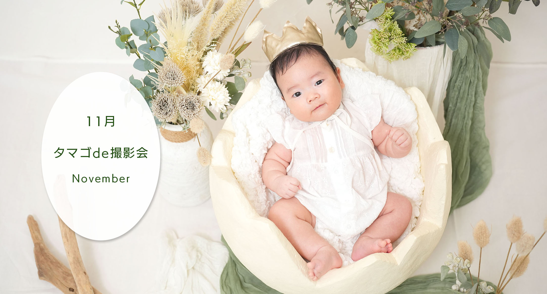 【赤ちゃん撮影会】　11月タマゴde撮影会