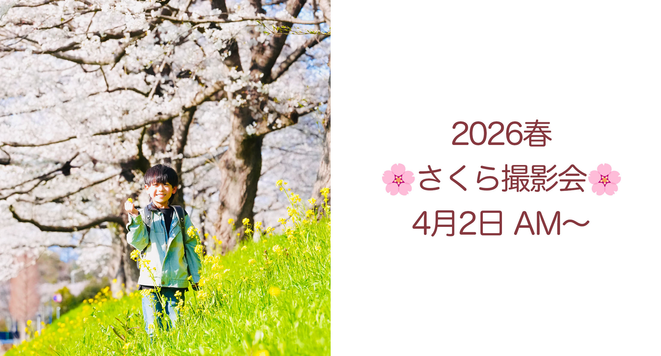 ◆桜と撮れたらいいね◆ 撮影会申込受付中！